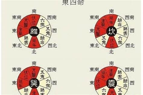 震木命|东四命是什么意思